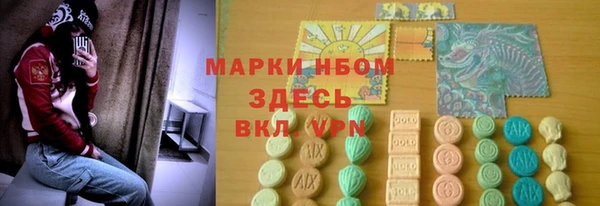 кокс Арсеньев