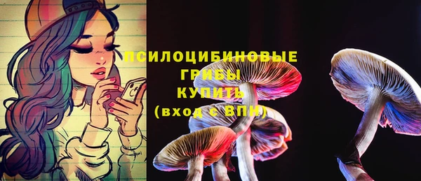 кокс Арсеньев